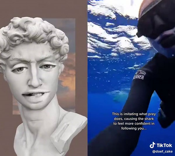 doef_cake (@doef_cake)’s videos with original sound - doef_cake