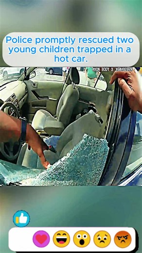 #fyp #cops #crime #bodycam #police | police