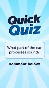 4.5K views · 24 reactions | Ever wonder how hearing aids work? Watch to learn how they amplify and filter sound! Quick quiz: What part of the ear processes sound? Comment below! To try our premium hearing aids click here https://hearcom.io/e76lv8 or call us at +91 9205577920. #HearingTest #HearingAids #HearingLoss | hear.com | Facebook