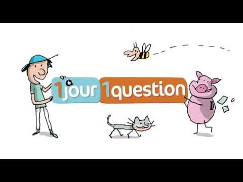 La crise des réfugiés expliquée aux enfants - 1 jour, 1 question