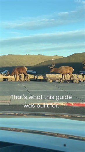 Don't Visit Estes Park Until You Watch This! 🏔️