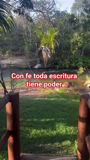 #reflexion #paz #amen #mensaje #fe #suscribete #suscriptores #viral #diosesfiel #aleluya #jeova