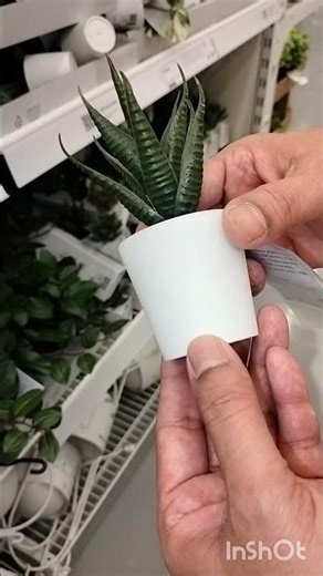 IKEA items you didn't know you needed! 🤫🛍️"#dmart #latest #viral #shortsfeed #new