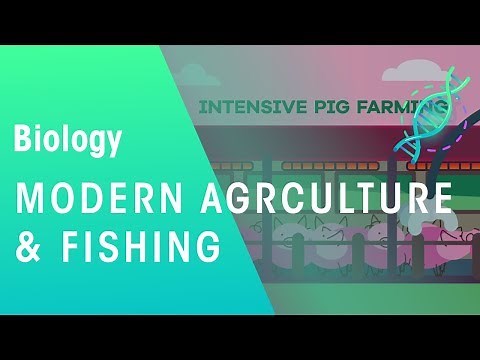 Modern Agriculture and Fishing | Environment | Biology | FuseSchool