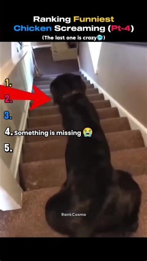 Memes Chicken Screaming (Pt4)🤣 #shorts #funny #memes