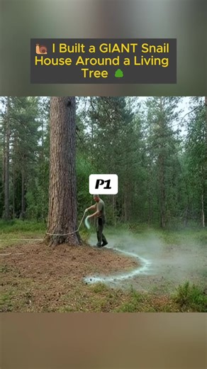 Building a Giant Snail House: Unveiling Nature's Marvel