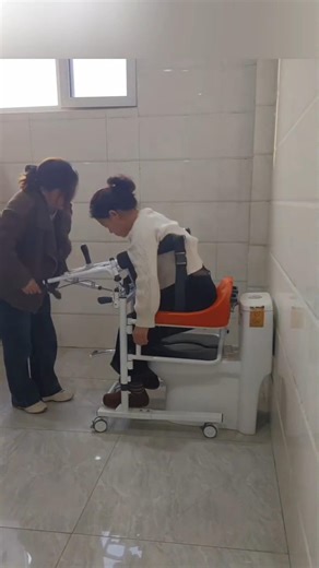 Toilet Lift Chair