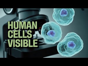 What Do Cells Look Like Under a Microscope?