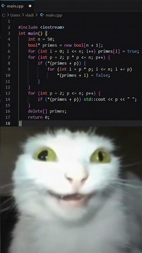 How programmers suffer in different languages 💻