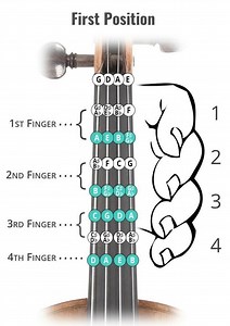 Digitación y primera posición en el violín