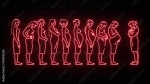 Glowing red neon pregnancy stage icon animation is the simple best object on a brick wall. Human embryonic development