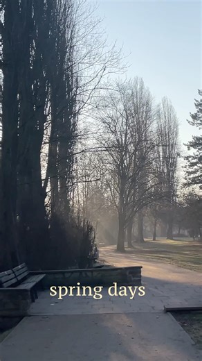 spring days as a data science working student