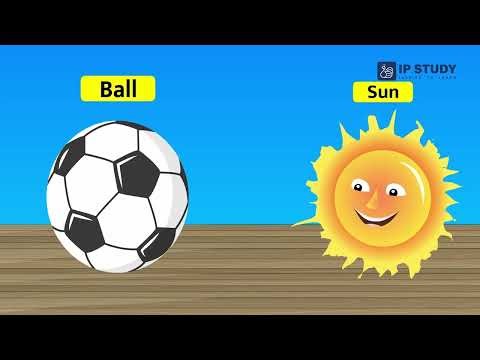 Learn Shapes with Fun Activities | LKG Maths for Kids