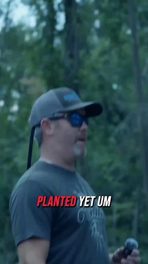 A helpful way to improve deer habitat is by planting arborvitae, which are readily available at places like Home Depot. making them a valuable addition to your management plan. This is a tip I learned from the @habitatpodcast | Roam Hunt