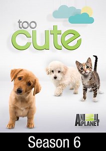Too Cute: Graceful Giants: Pint-Sized