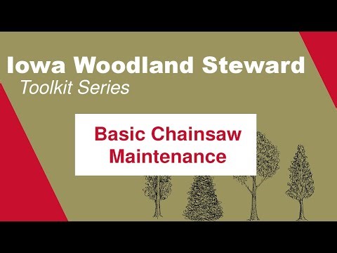 Basic Chainsaw Maintenance: Iowa Woodland Steward Toolkit Series