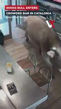 900kg Bull Wanders Into Packed Spanish Bar, Customers Freeze In Shock | VERTEX