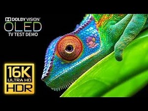 What's the REAL Difference Between 4k and 8k.Most Stunning OLED TV Demo ULTRA HD | Dolby Vision 8K