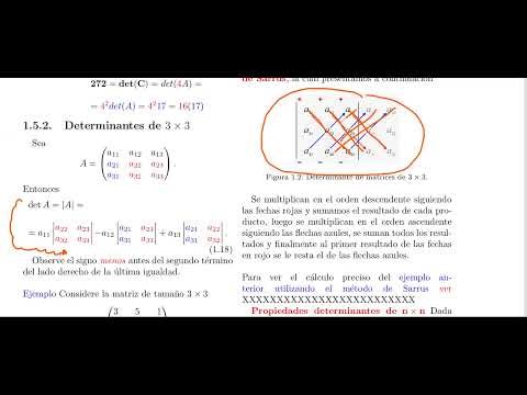 Determinants of Matrices