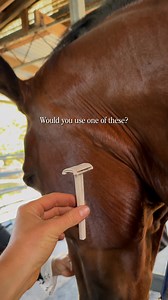 Need a simple way to clean up your horse’s beard hair? 🤌🏼 Our Equine Double Edge Safety Razors make it quick safe — and they’re made from wheat fibre 🌾 Would you give them a go? | Hairy Pony