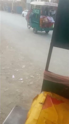 Animals mix videos shorts varil videos #shorts #cute #funny #varilshort #shortvideo #birds #kabotars