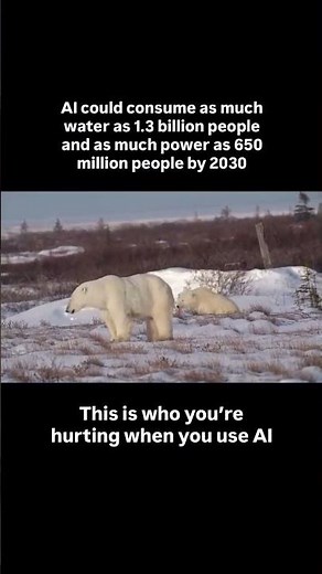 The true environmental impact of AI