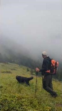 hiking Grande Cache Alberta #mountains #shorts #dog #hiking
