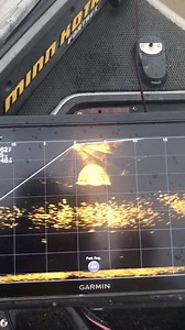 295K views · 467 reactions | Garmin's New Livescope showing you what a cast net looks like over a school of bait! How cool is that! | Northside Marine - Life beyond the shore. | Facebook