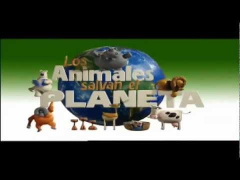 Los animales salvan el Planeta (compilado)
