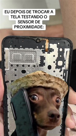 Sensor de Proximidade: O Meme Que Vai Te Fazer Rir