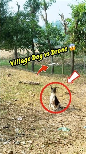 Drone attack by angry dog caught on camera in village 😱 #shorts #youtubeshorts
