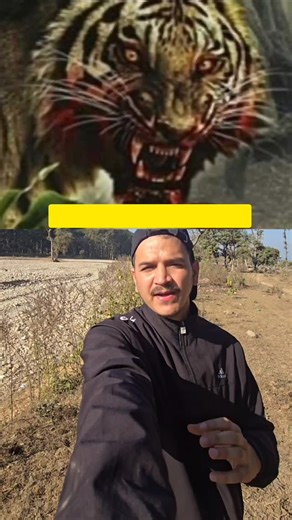 Vivek Dabral on Instagram: "Maneter Of Champawat Kumaon ...🐅 436 people Killed World record for the highest number of fatalities, having killed an estimated 436 people in Nepal and the Kumaon division of India... Kill Jada bhi ho sakte h kyu ki ye ek sarkari data hai Or sarkari data humesha kam hi hota hai.. #maneter #champawattiger #wildlifestories #wildlife #jimcorbet"