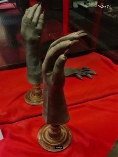 Women's self-defence gloves emerged around the 1850s 🧤