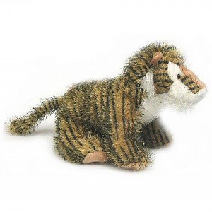 Are There Any Cheat Codes For the Webkinz App? - What Box Game