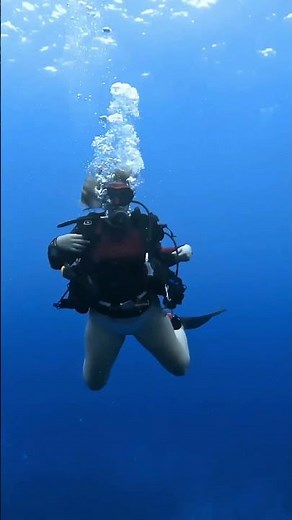 sexy female scuba diver