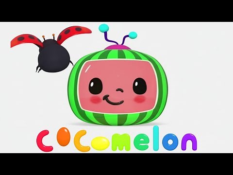 COCOMELON INTRO EFFECTS { 1HOUR COMPILATION }