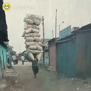 310K views · 671 shares | Top Trending Videos Funny Coco #6 | Coco TV | Facebook