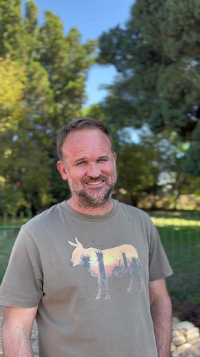 wessels.robbie on TikTok