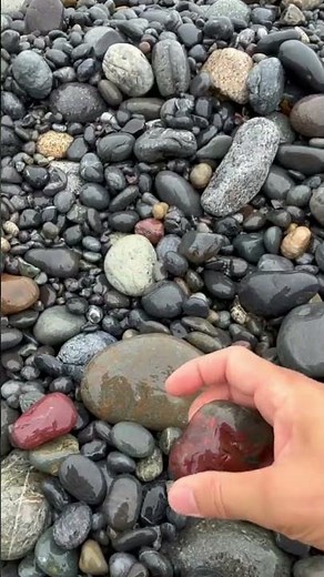 ジャスパーとチャート⁇ Jasper and Chart?? #shorts #stone #ジャスパー #jasper#chart #チャート#天然石 #石拾い #原石#鉱物 #ビーチコーミング