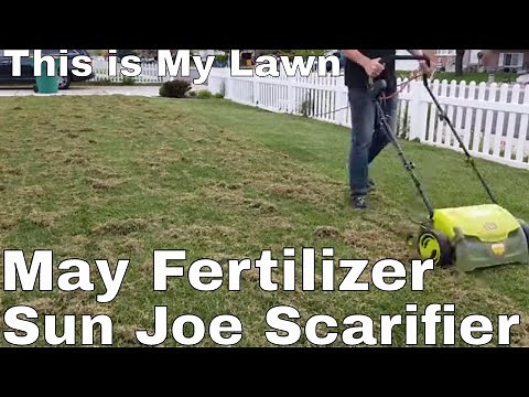 DIY How to: Dethaching lawn using the sunjoe scarifier and recovery fertilizer on This is My Lawn
