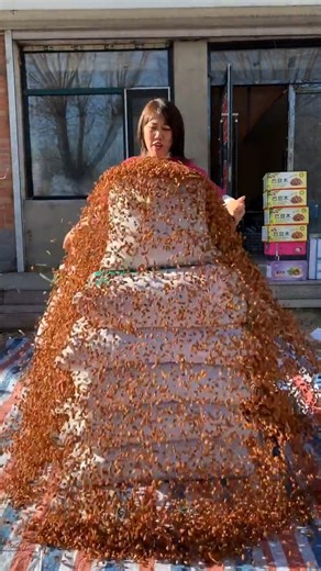 Pistachio Perfection | Fresh, Crunchy & Delicious #pistachio