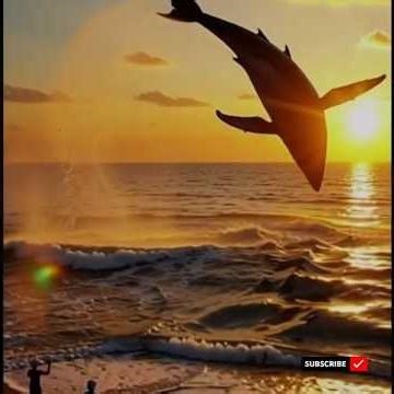 Robot create to ship convert to shark amazing