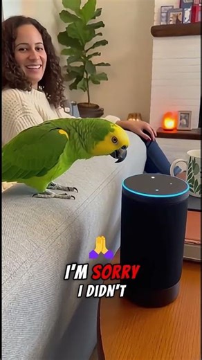 Parrot Breaks Alexa With Basic Math