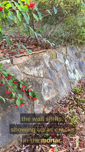 19K views · 255 reactions | Drystack vs Mortar Joined retaining wall #stonemason #crafts #diy #stonemasonry | Harry Nelson | Facebook