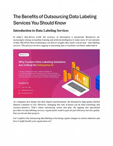 The Benefits of Outsourcing Data Labeling Services You Should Know - SlideServe