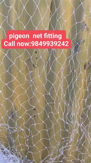 🚫🐦 Stop Pigeons from Nesting on Your Property! 🏠 Looking for professional Pigeon Net Installation in Kathmandu? We provide high-quality, durable nets that keep your spaces clean and safe. ✅ Safe & long-lasting installation ✅ Protects homes, offices, and balconies ✅ Affordable & reliable service ✅ Experienced team with quick setup 📞 Call Now: 9849-939-242 | Bird block installation Service Kathmandu