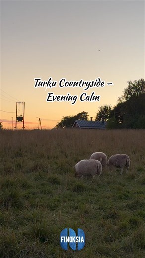Turku Countryside #finland #turku
