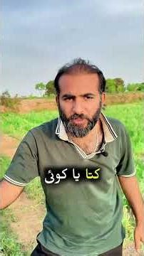 EPISODE -3 High yield Isabgol farming technique #farming #crops