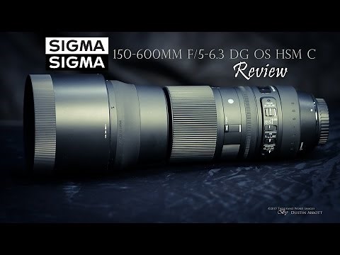Sigma 150-600 f/5-6.3 OS Contemporary Super Telephoto Review