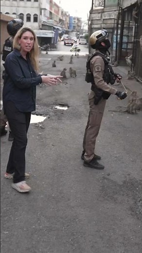 Monkey gangs at war with police as they take over city in Thailand